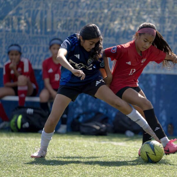 City Futsal Image Treatments_Page_25