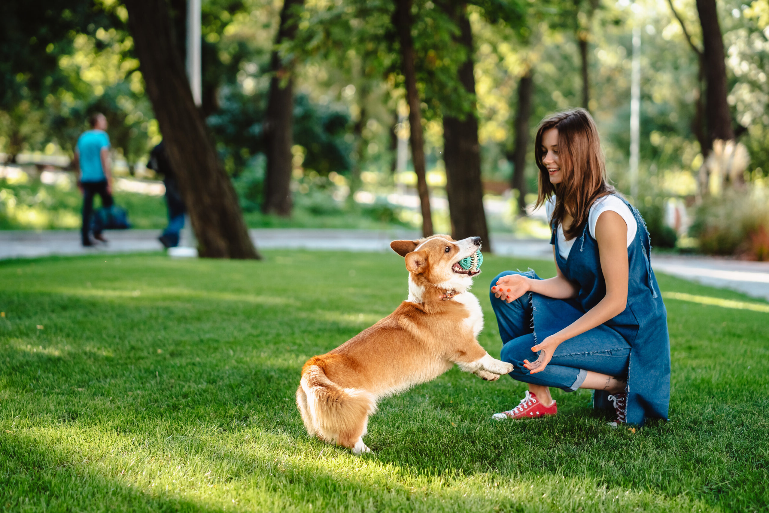 Sloan Corners Allen TX Contact Us